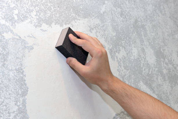 Best Real Estate Mold Inspection  in Silver Hill, MD
