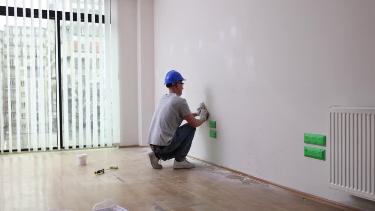 Best Mold Remediation for Healthcare Facilities  in Silver Hill, MD